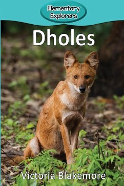 Dholes - Blakemore, Victoria