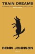 Train Dreams - Bild 1