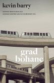 Grad Bohane (eBook, ePUB)