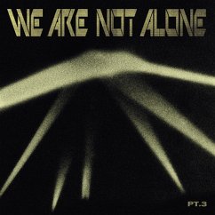 We Are Not Alone-Part 3 (2lp) - Diverse