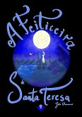 A Feiticeira de Santa Teresa (eBook, ePUB)