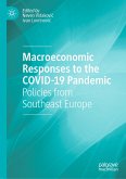 Macroeconomic Responses to the COVID-19 Pandemic (eBook, PDF)