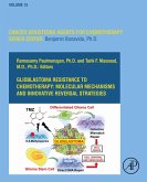 Glioblastoma Resistance to Chemotherapy: Molecular Mechanisms and Innovative Reversal Strategies (eBook, ePUB)