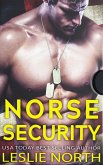 Norse Security Serie (eBook, ePUB)