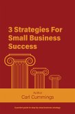 3 Strategies For Small Business Success (Business Strategies, #1) (eBook, ePUB)
