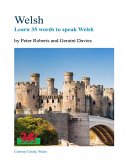 Welsh - Learn 35 Words to Speak Welsh (eBook, ePUB)