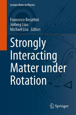 Strongly Interacting Matter under Rotation (eBook, PDF)