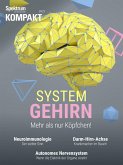 Spektrum Kompakt - System Gehirn (eBook, PDF)