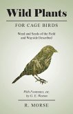 Wild Plants for Cage Birds - Weed and Seeds of the Field and Wayside Described - With Footnotes, etc., by G. E. Weston (eBook, ePUB)
