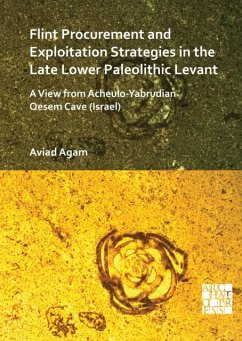 Flint Procurement and Exploitation Strategies in the Late Lower Paleolithic Levant - Agam, Dr Aviad (Researcher, Tel Aviv University)