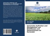 Saisonales Auftreten und Management von Blattläusen und Samenmücken an Koriander