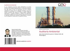 Auditoría Ambiental