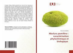 Maclura pomifera : caractérisation phytochimique et biologique - MENDILI, Mohamed