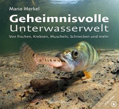 Geheimnisvolle Unterwasserwelt - Merkel, Mario
