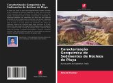 Caracterização Geoquímica de Sedimentos de Núcleos de Playa