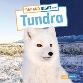 Day and Night on the Tundra