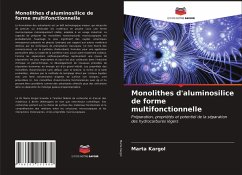 Monolithes d'aluminosilice de forme multifonctionnelle - Kargol, Marta