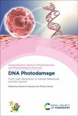 DNA Photodamage
