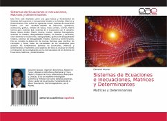 Sistemas de Ecuaciones e Inecuaciones, Matrices y Determinantes - Alcocer, Giovanni