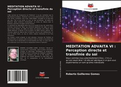 MEDITATION ADVAITA VI : Perception directe et transfinie du soi - Gomes, Roberto Guillermo