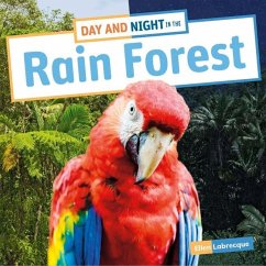 Day and Night in the Rain Forest - Labrecque, Ellen