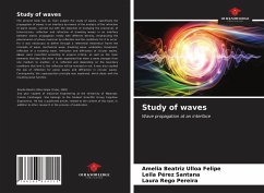 Study of waves - Ulloa Felipe, Amelia Beatriz;Pérez Santana, Leila;Rego Pereira, Laura