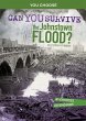 Can You Survive the Johnstown Flood? - Bild 1
