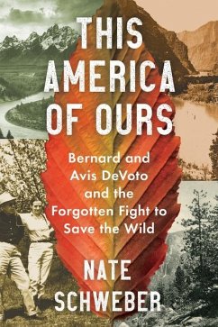 This America of Ours - Schweber, Nate