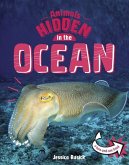 Animals Hidden in the Ocean