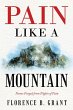 Pain Like a Mountain - Bild 1