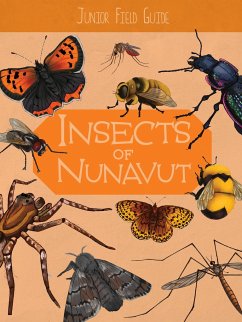 Junior Field Guide: Insects of Nunavut - Hoffman, Jordan