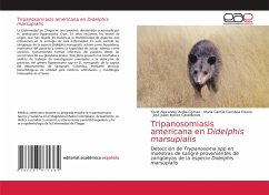 Tripanosomiasis americana en Didelphis marsupialis - Ardila-Gómez, Yezid Alexander;Gamboa Osorio, María Camila;Ibañez Castellanos, José Julian