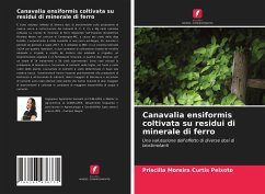 Canavalia ensiformis coltivata su residui di minerale di ferro - Peixoto, Priscilla Moreira Curtis