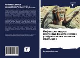 Infekciq wirusa immunodeficita simian u afrikanskih zelenyh martyshek