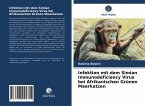 Infektion mit dem Simian Immunodeficiency Virus bei Afrikanischen Grünen Meerkatzen