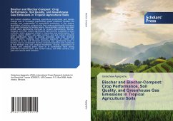 Biochar and Biochar-Compost: Crop Performance, Soil Quality, and Greenhouse Gas Emissions in Tropical Agricultural Soils - Agegnehu, Getachew