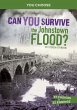 Can You Survive the Johnstown Flood? - Bild 1