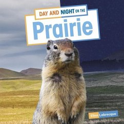 Day and Night on the Prairie - Labrecque, Ellen