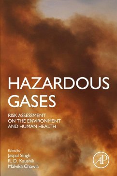 Hazardous Gases (eBook, ePUB)