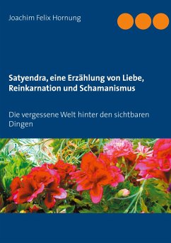 Satyendra, eine Erzählung von Liebe, Reinkarnation und Schamanismus - Hornung, Joachim Felix