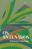 Os antenados (eBook, ePUB)