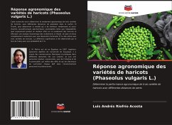 Réponse agronomique des variétés de haricots (Phaseolus vulgaris L.) - Riofrío Acosta, Luis Andrés