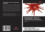 Therapeutic niche of Ceftazidime-avibactam