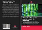 Microalgas Biomassa para produção de biodiesel