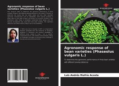 Agronomic response of bean varieties (Phaseolus vulgaris L.) - Riofrío Acosta, Luis Andrés