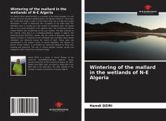 Wintering of the mallard in the wetlands of N-E Algeria - Dziri, Hamdi