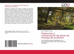 Proteccion y conservacion de areas de recarga de acuiferos - Choque, Jesus Paraguayo