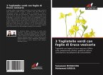 3 Tagliatelle verdi con foglie di Eruca vesicaria