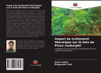Impact du traitement thermique sur le bois de Pinus roxburghii