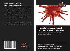 Nicchia terapeutica di Ceftazidime-avibactam - Muñoz-Angulo, Natalia;Martin-Arsanios, Daniel Augusto;Cubides-Diaz, Diego Alejandro